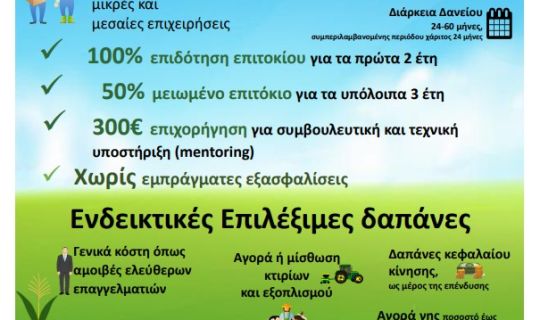 ΤΑΜΕΙΟ ΜΙΚΡΩΝ ΔΑΝΕΙΩΝ